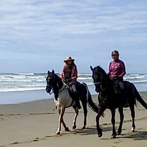 10 Lu Doğada Atlıtur Gezi Eğitim Paketi 60 Dk