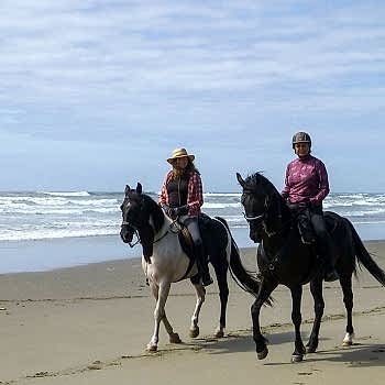 10 Lu Doğada Atlıtur Gezi Eğitim Paketi 60 Dk