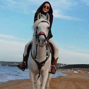 10 Lu Paket 30 Dakikalık Binicilik Teknik Eğitimi