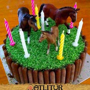 15 Dakika Doğa da Atlıtur ve Müzik Eşliğinde Pasta Kesimi Limonata İkramı