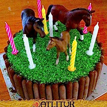 15 Dakika Doğa da Atlıtur ve Müzik Eşliğinde Pasta Kesimi Limonata İkramı