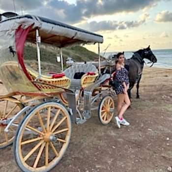 30 Dk Fayton Turu Kişi Başı