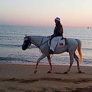 Tek Ders Promosyon Binicilik Teknik Eğitimi 30 Dk.