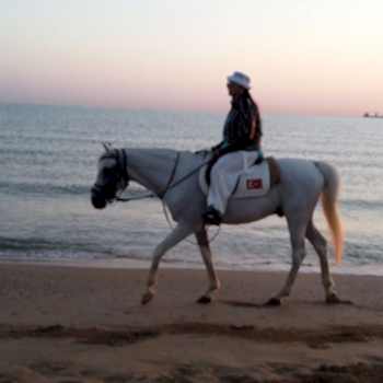 Tek Ders Promosyon Binicilik Teknik Eğitimi 30 Dk.