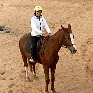 Tek Ders Binicilik Temel Teknik Eğitimi 60 Dk.