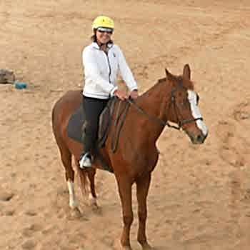 Tek Ders Binicilik Temel Teknik Eğitimi 60 Dk.