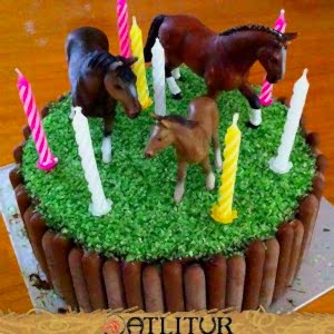 Sadece Müzik Eşliğinde Pasta Kesimi Limonata İkramı