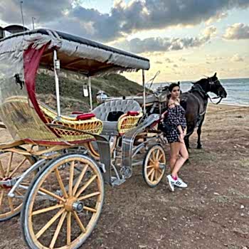 İstanbul İçi Fayton Kiralama Hizmeti