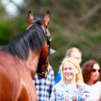 Okullara Özel Pony Atlar ve Antrenörlerle 4 Saatlik At Binme Aktivitesi