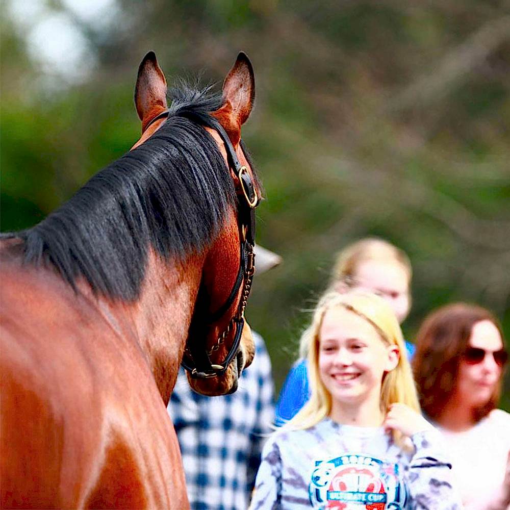 Okullara Özel Pony Atlar ve Antrenörlerle 4 Saatlik At Binme Aktivitesi