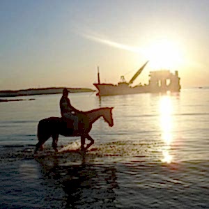 Tek Adet Kişisel ve Özel Baskılı Fotoğraf Çekimi