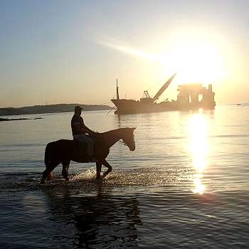 Tek Adet Kişisel ve Özel Baskılı Fotoğraf Çekimi